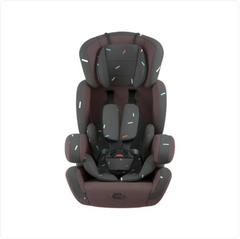 Foldable Baby Car Seat & Cradle Basket