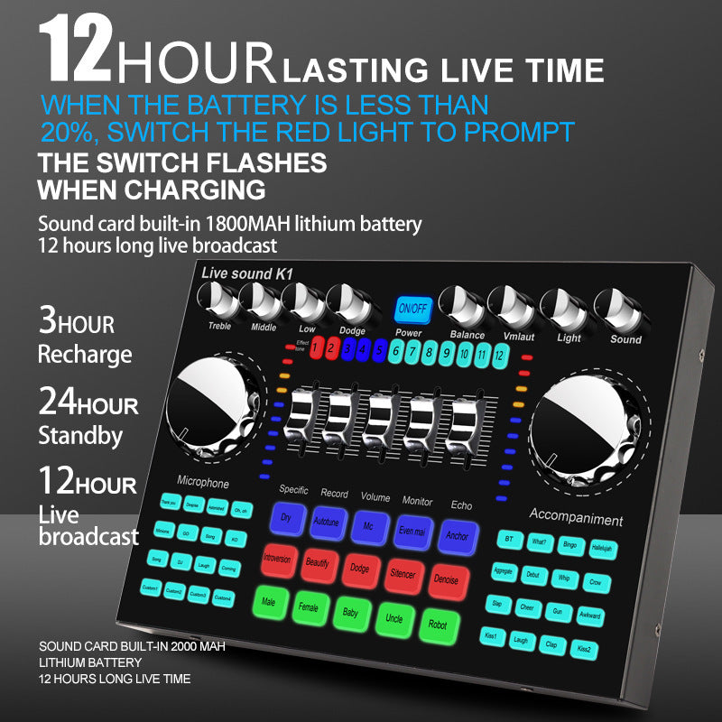 K1 Sound Card Live Equipment Set with Microphone