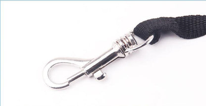 LED Dog Leash with Waste Bag Dispenser and Retractable Cord